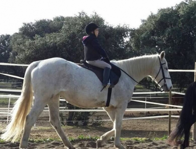  On the track with the white horse 